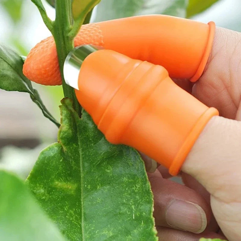 มีดปลอกเปลือกผักแบบนิ้วโป้ง สำ - Strawberry Huller บทวิจารณ์และราคา